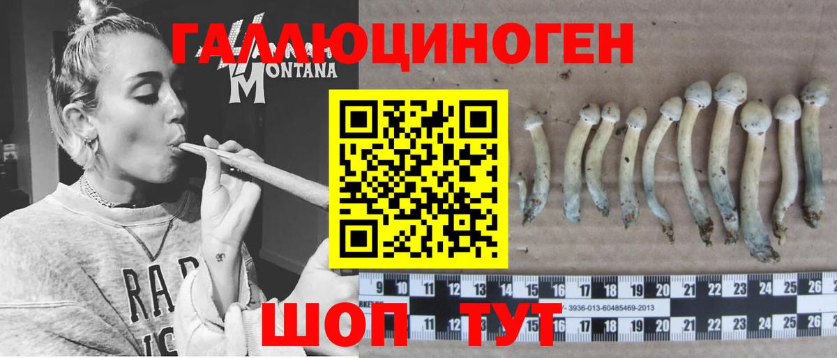 Рубцовск  Галлюциногенные грибы мицелий  Вход с VPN 