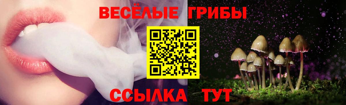 Псилоцибиновые грибы MAGIC MUSHROOMS Рубцовск